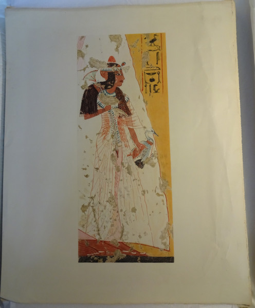 image FDA-E.3055_80-2018