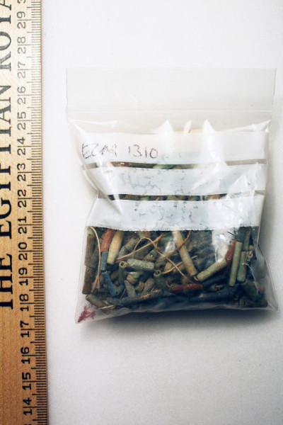 ECM.1310-2010-A image ECM.1310-2010-A