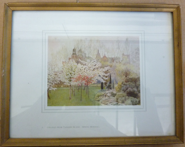 FDA-E.1041-2013 image FDA-E.1041-2013