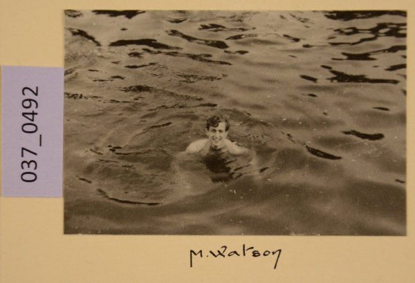 PA-A.37_492-2012 image PA-A.37_492-2012