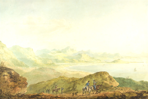 FDA-D.406-2010 image FDA-D.406-2010