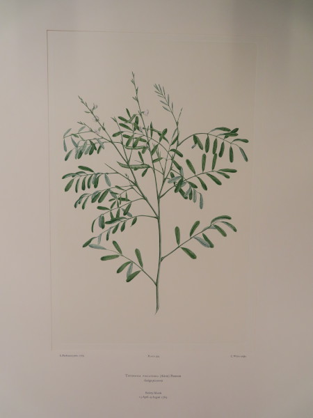 FDA-E.2916_28_18-2016-A image FDA-E.2916_28_18-2016-A