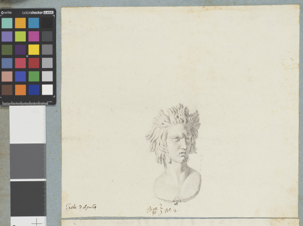 ECL-Bm.10_2-2013 image ECL-Bm.10_2-2013