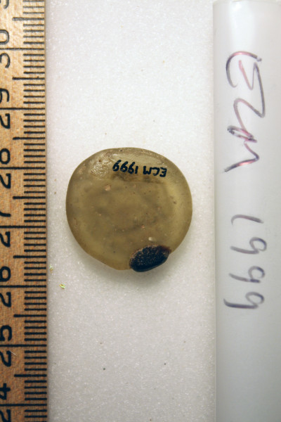 ECM.1999-2010-B image ECM.1999-2010-B