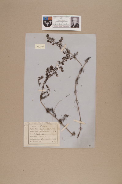 NHM_HH_26.30-2010 image NHM_HH_26.30-2010