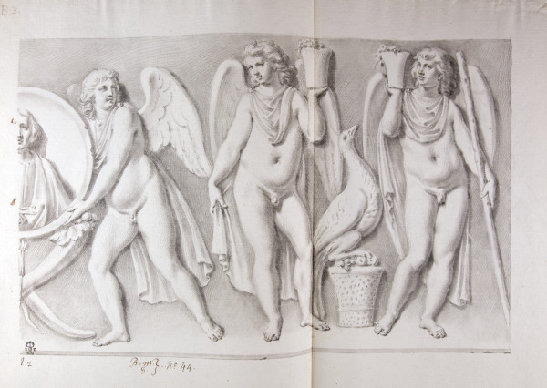 ECL-Bm.8_44-2013 image ECL-Bm.8_44-2013