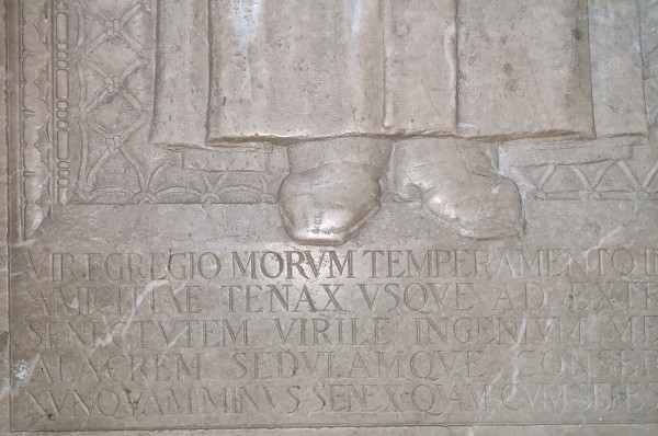 FDA-Sc.211-2023-F image FDA-Sc.211-2023-F