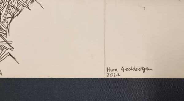 image FDA-D.1788_5-2025-A