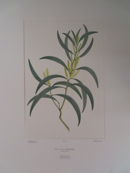 image FDA-E.2916_5_4-2016-A