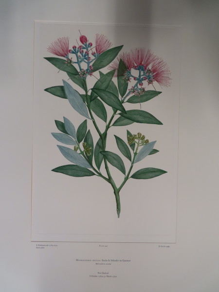 FDA-E.2916_21_25-2016 image FDA-E.2916_21_25-2016