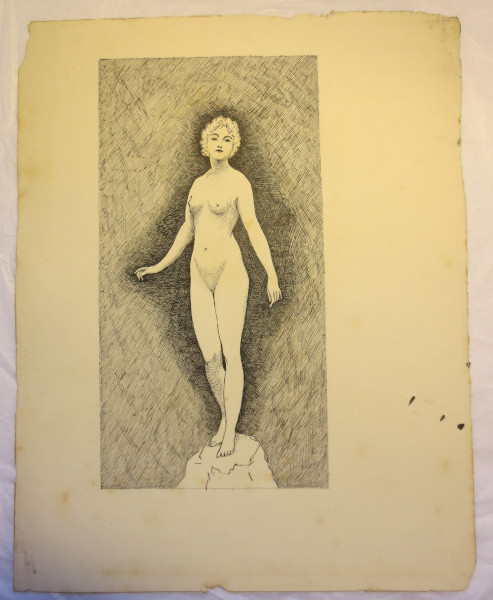 image FDA-D.1595_36-2018