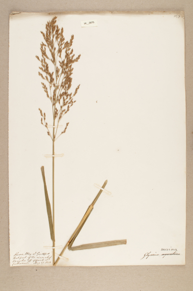 NHM_HH_34.76-2010 image NHM_HH_34.76-2010