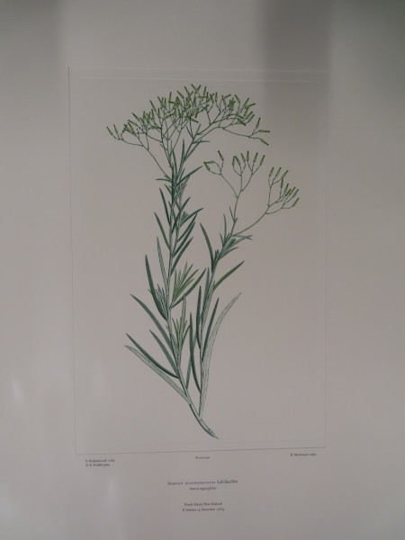 FDA-E.2916_23_26-2016 image FDA-E.2916_23_26-2016