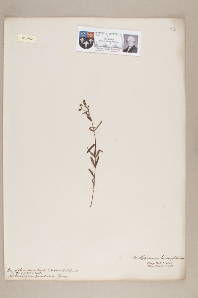 NHM_HH_10.12-2010 image NHM_HH_10.12-2010