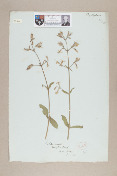 NHM_HH_9.101-2010 image NHM_HH_9.101-2010