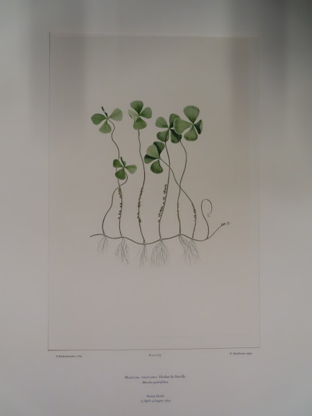 FDA-E.2916_31_26-2016-A image FDA-E.2916_31_26-2016-A