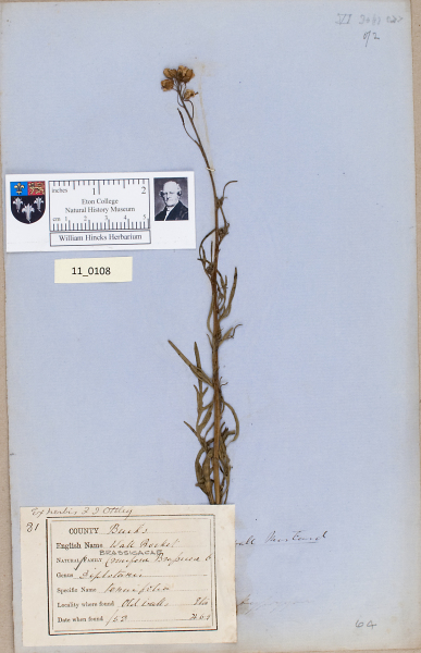 NHM_HH_11.108-2010 image NHM_HH_11.108-2010