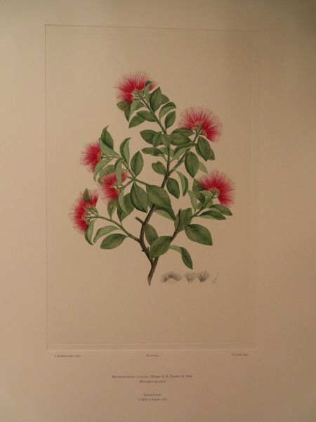 image FDA-E.2916_28_23-2016-A