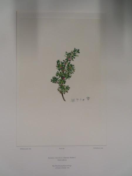 image FDA-E.2916_33_6-2016