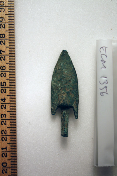 ECM.1356-2010-A image ECM.1356-2010-A