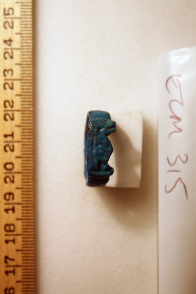 ECM.315-2010-A image ECM.315-2010-A