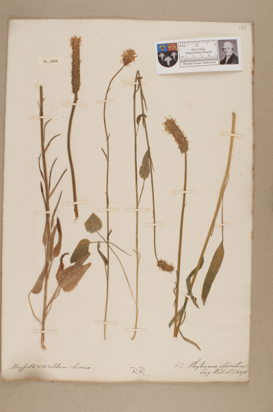 NHM_HH_26.4-2010 image NHM_HH_26.4-2010