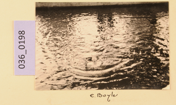 PA-A.36_198-2012 image PA-A.36_198-2012