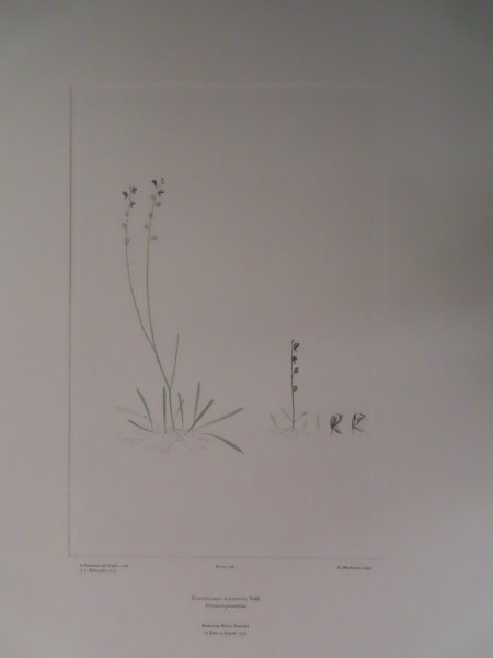 image FDA-E.2916_11_16-2016