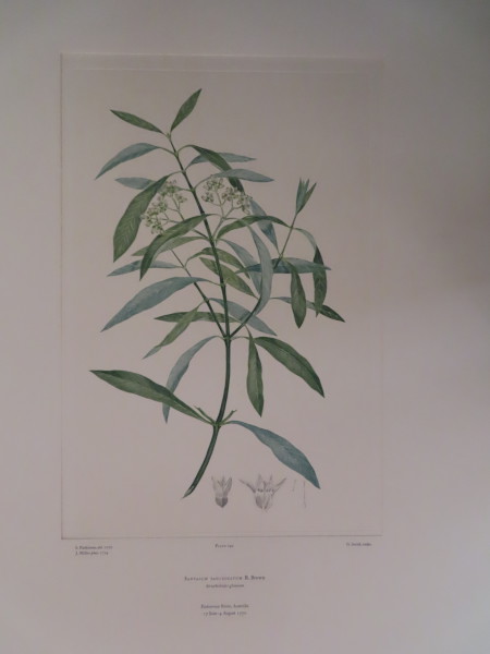 FDA-E.2916_13_25-2016-A image FDA-E.2916_13_25-2016-A