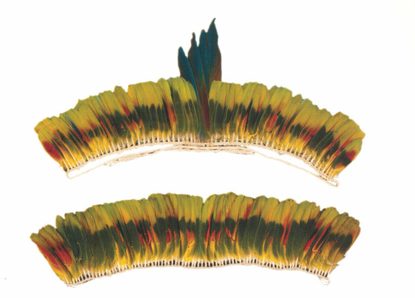 NHM-HT.132-2014 image NHM-HT.132-2014