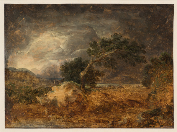 FDA-D.94-2010-cr image FDA-D.94-2010-cr