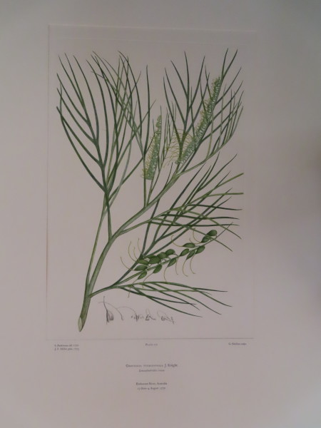 image FDA-E.2916_13_10-2016