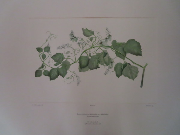 image FDA-E.2916_16_9-2016-A