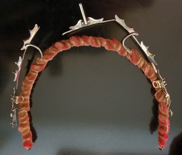 FDA-A.2495-2024-G image FDA-A.2495-2024-G