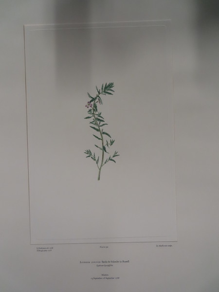 image FDA-E.2916_19_5-2016-A