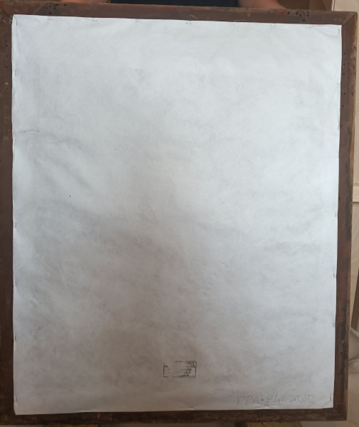 FDA-P.48-2010-A image FDA-P.48-2010-A