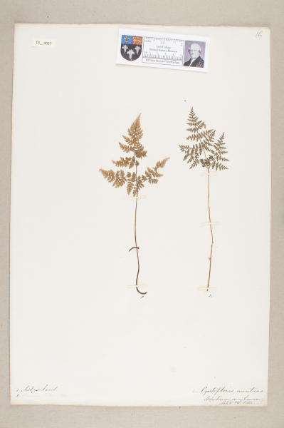 NHM_HH_5.27-2010 image NHM_HH_5.27-2010