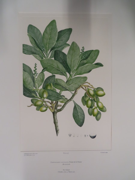 FDA-E.2916_21_7-2016-A image FDA-E.2916_21_7-2016-A