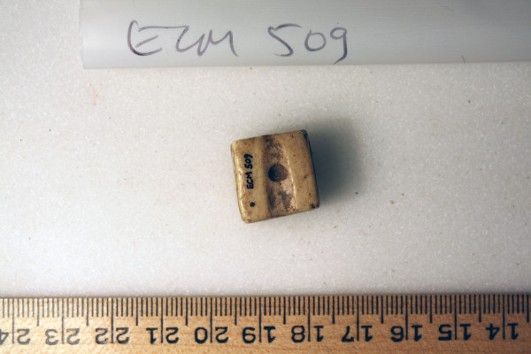 ECM.509-2010-A image ECM.509-2010-A