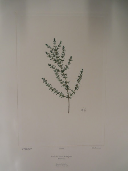 image FDA-E.2916_23_8-2016-A