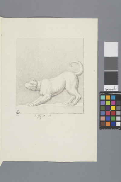 ECL-Bm.7_41-2013 image ECL-Bm.7_41-2013