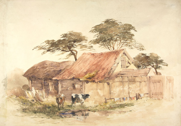 FDA-D.559-2010 image FDA-D.559-2010