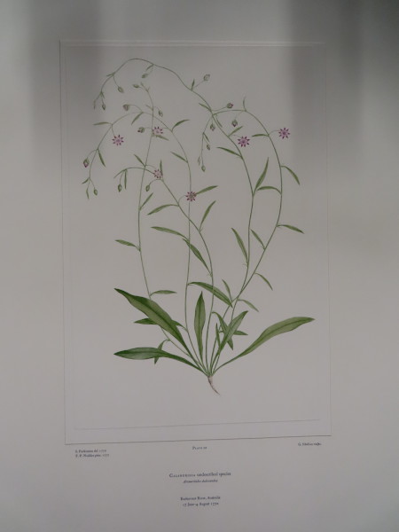 FDA-E.2916_1_23-2016-A image FDA-E.2916_1_23-2016-A