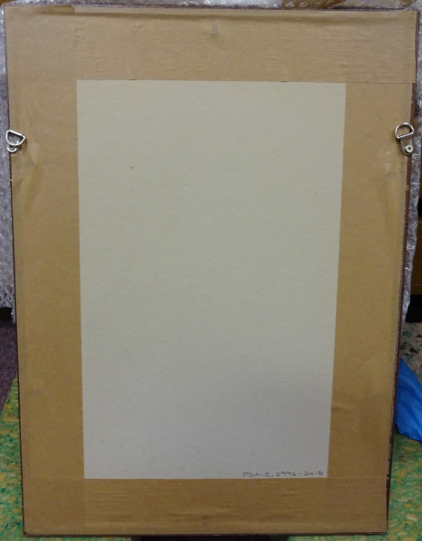 FDA-E.2996-2018-B image FDA-E.2996-2018-B