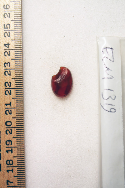 ECM.1319-2010-B image ECM.1319-2010-B