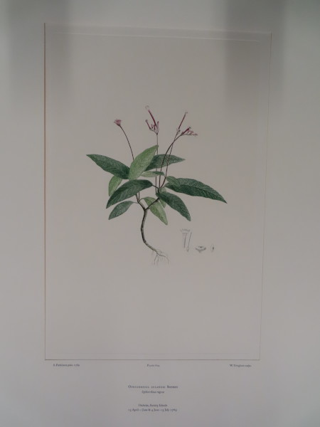 image FDA-E.2916_29_11-2016