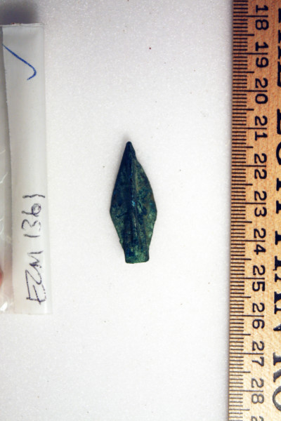 ECM.1361-2010-A image ECM.1361-2010-A