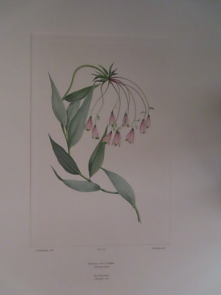 FDA-E.2916_16_25-2016 image FDA-E.2916_16_25-2016