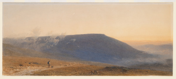 FDA-D.290-2010-cr image FDA-D.290-2010-cr