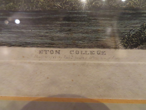 FDA-E.3229-2023-C image FDA-E.3229-2023-C